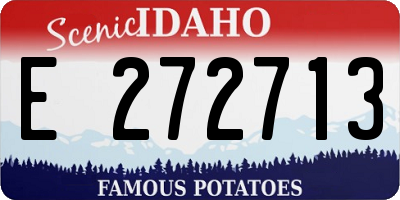 ID license plate E272713