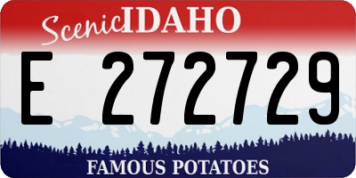 ID license plate E272729