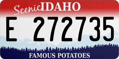 ID license plate E272735