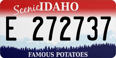 ID license plate E272737