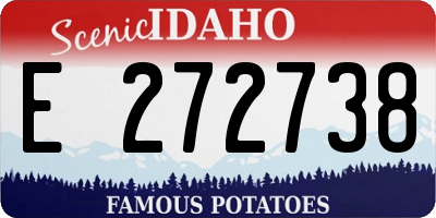 ID license plate E272738