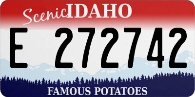 ID license plate E272742