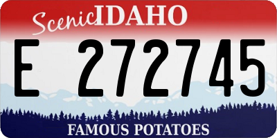 ID license plate E272745