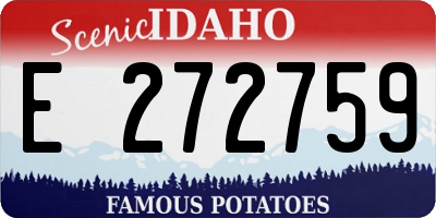 ID license plate E272759