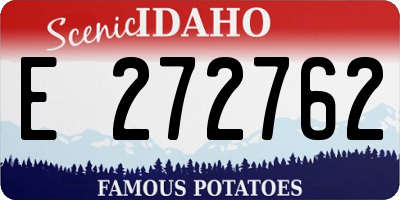 ID license plate E272762