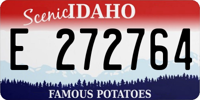 ID license plate E272764