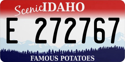 ID license plate E272767