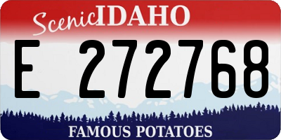 ID license plate E272768