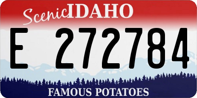 ID license plate E272784