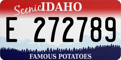 ID license plate E272789