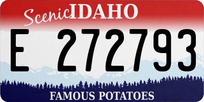 ID license plate E272793