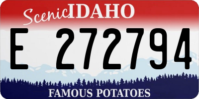ID license plate E272794