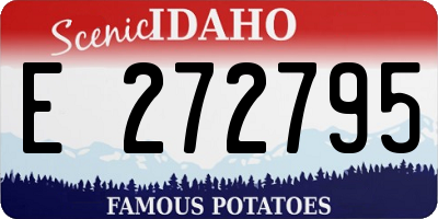 ID license plate E272795