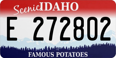 ID license plate E272802