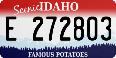 ID license plate E272803