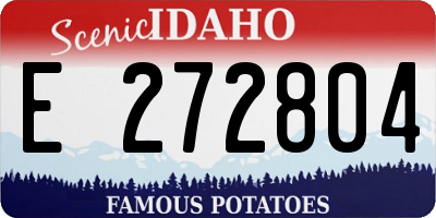 ID license plate E272804