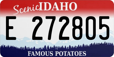 ID license plate E272805