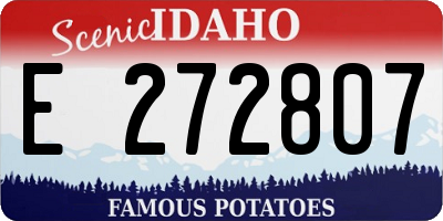 ID license plate E272807
