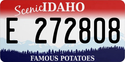 ID license plate E272808