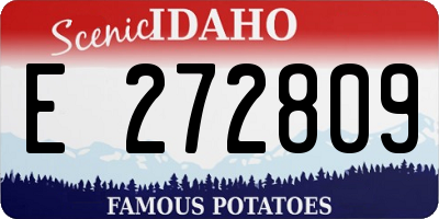 ID license plate E272809
