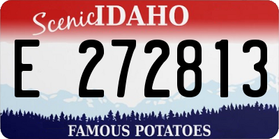 ID license plate E272813