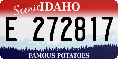 ID license plate E272817