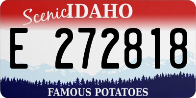 ID license plate E272818