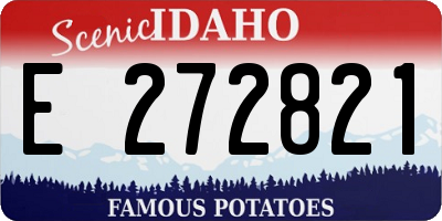 ID license plate E272821