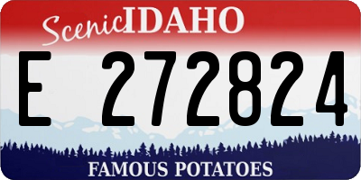 ID license plate E272824