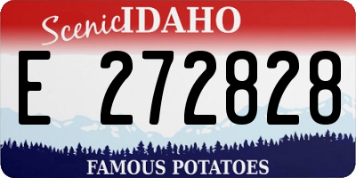 ID license plate E272828