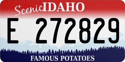 ID license plate E272829
