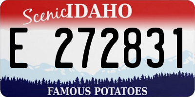 ID license plate E272831