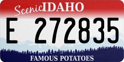 ID license plate E272835