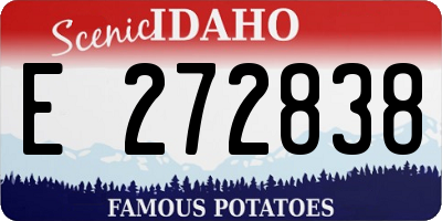 ID license plate E272838