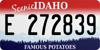 ID license plate E272839