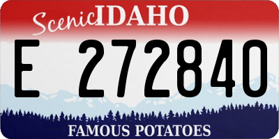 ID license plate E272840