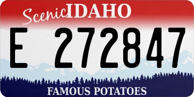 ID license plate E272847