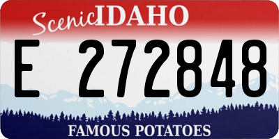 ID license plate E272848