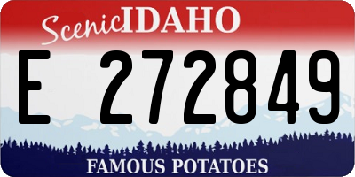 ID license plate E272849