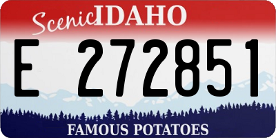 ID license plate E272851