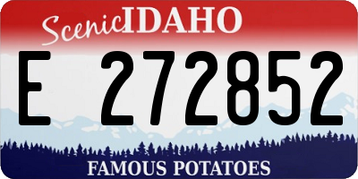 ID license plate E272852
