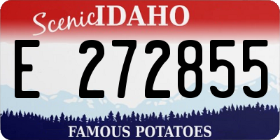 ID license plate E272855