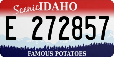 ID license plate E272857