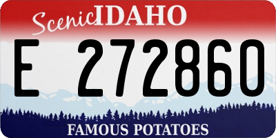 ID license plate E272860