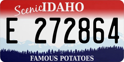 ID license plate E272864