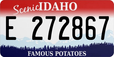 ID license plate E272867