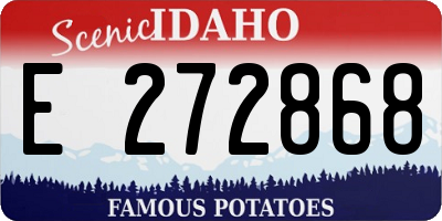 ID license plate E272868