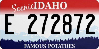 ID license plate E272872
