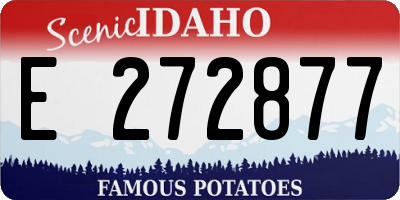 ID license plate E272877