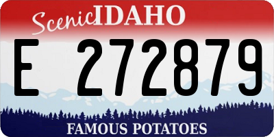 ID license plate E272879